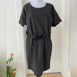 NUMPH Metallic Sparkle Dress Drawstring Waist Short Sleeve Pullover Party Event